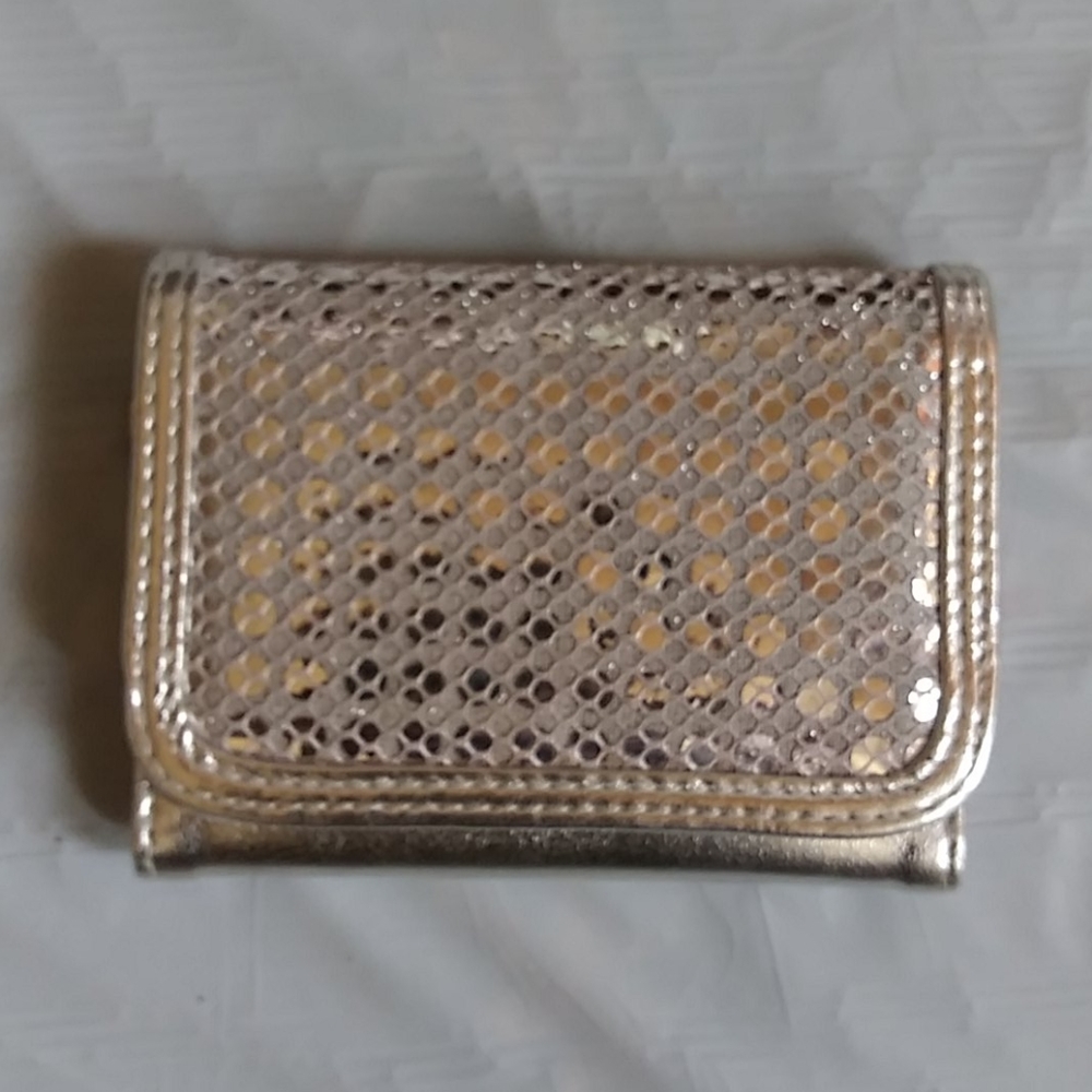 Chateau Silver Sequence Wallet